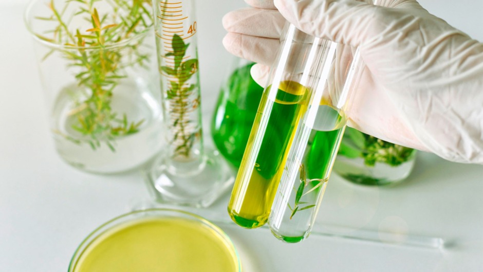 ҚазҰУ ғалымдары отандық фармацевтикалық субстанциялар әзірлеуде: табиғи және синтетикалық қосылыстар негізіндегі инновациялық зерттеу